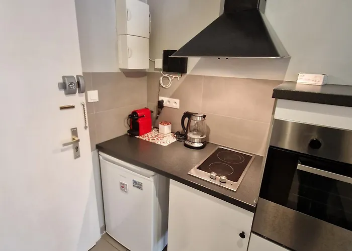 Appartement Lumineux Dans Ancien Cronenbourg *