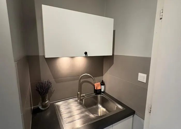 Apartament Lumineux Dans Ancien Cronenbourg