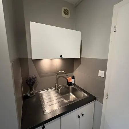 Apartament Lumineux Dans Ancien Cronenbourg