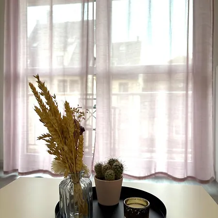 Lumineux Dans Ancien Cronenbourg